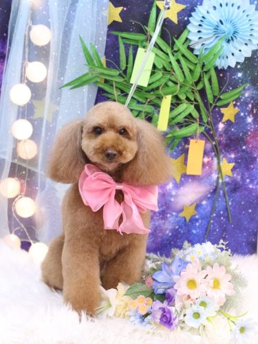 20250702まろんちゃん